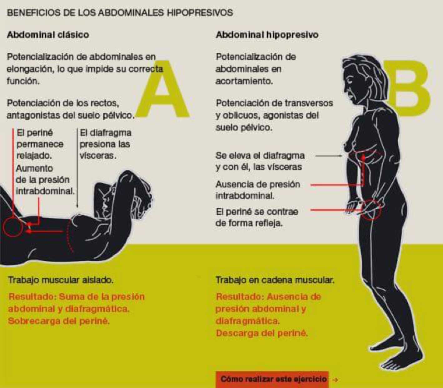 diastasis-abdominal-3